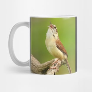 Carolina Wren Singing Mug